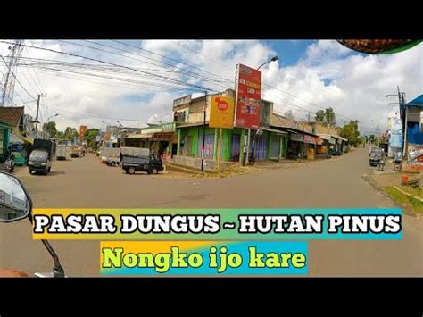 Jalur Pasar Dungus Menuju Hutan Pinus Nongko Ijo Youtube