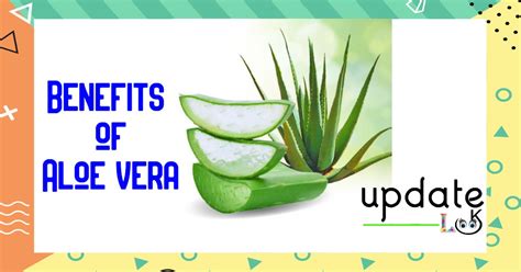 Benefits of Aloe Vera