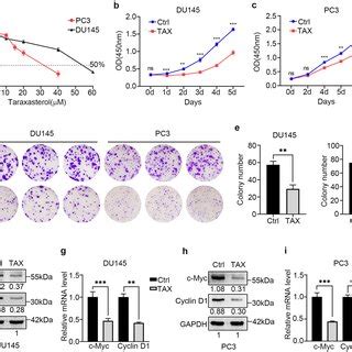 Pdf Taraxasterol Suppresses The Proliferation And Tumor Growth Of