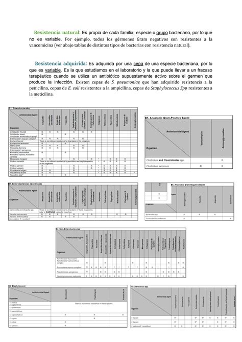 SOLUTION Bcp7 Resistencia Antibi Tica Studypool