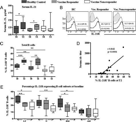 Serum Il Levels And Il R Expression In B Lymphocyte Subsets In Hc