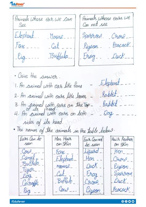 Cbse Class Evs Ear To Ear Worksheet With Solutions