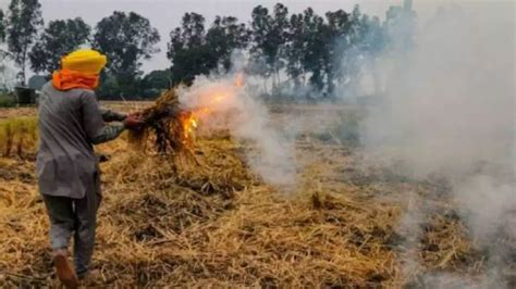 Air Quality Big Spike In Punjab Farm Fires As Delhis Air Quality Remains Very Poor India