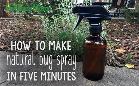 9 Effective Homemade Bug Sprays To Make Your Summer Pest Free