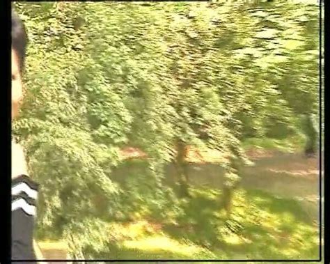 MILF Im Wald Augfgerissen Und Mit Ins Hotel Genommen XHamster