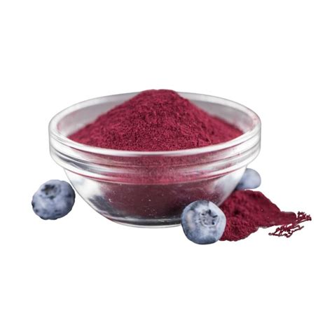 Bulk Freeze Dried Wild Blueberry Powder Wholesale Importers