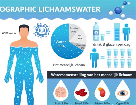 Functies Van Water En Gezondheidsvoordelen