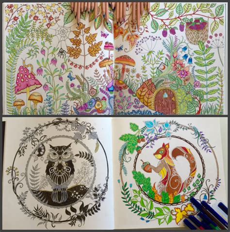 Adult Colouring Enchanted Forest By Johanna Basford Alba In Bookland