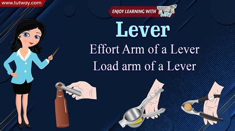 mechanical advantage   lever shown   hazel