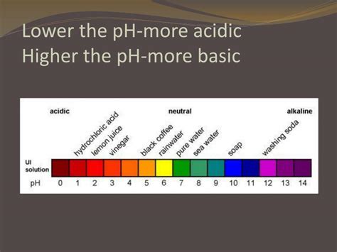 Ppt 83 Properties Of Acids And Bases Powerpoint Presentation Free