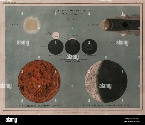 Moon cycle chart hi-res stock photography and images - Alamy