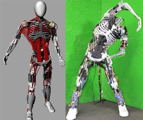 Humanoid robot flexes its 160 muscles for creepy realism