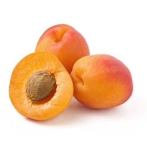 Buy Bulk Apricot Kernel Oil Virgin Jedwards International