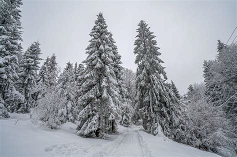 Beskidy W G Rach Warunki Na Szlakach S Trudne Wieje Silny Wiatr