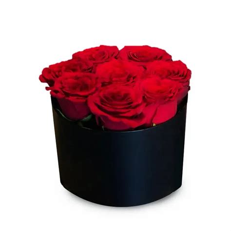 8 Red Roses In A Box Gulfflora