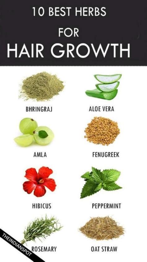 Best Nutrient Rich Foods For Healthy Hair Artofit