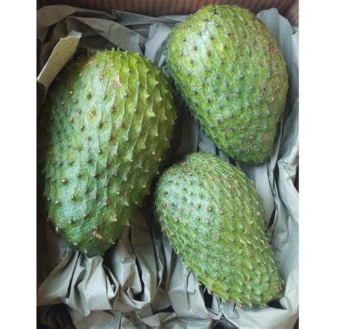 Fresh Soursop Fruit Graviola Fruit Frozen Soursop Pulp At Rs 7486