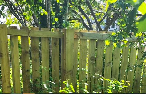 Garden Fence Height Law Scotland Fasci Garden