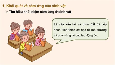 Tải giáo án Powerpoint KHTN 7 CTST bài 32 Cảm ứng ở thực vật baivan net