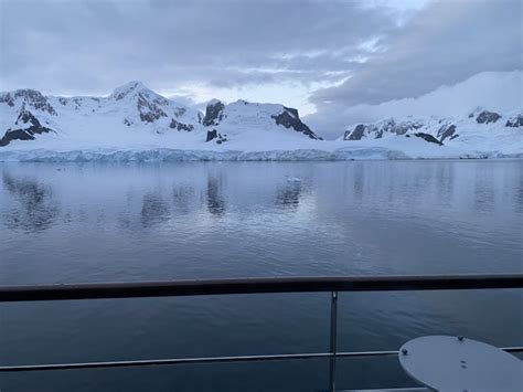 Atlas Ocean Voyages Antarctica Cruise Reviews (2024 UPDATED): Ratings ...