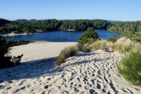 Visiting the Coastal Sand Dunes in Oregon - Erika's Travels