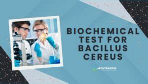 Identification and Biochemical Testing of Bacillus cereus