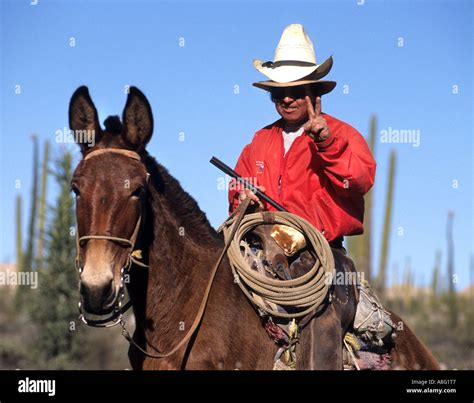 Cowboy Horse Mexico Central America mexican Stock Photo - Alamy