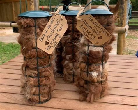 Alpaca Fleece Bird Nesting Material And Feeder Etsy Uk