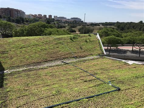 Cubierta Ajardinada Colegio Montessori De Paterna Valencia Paimed