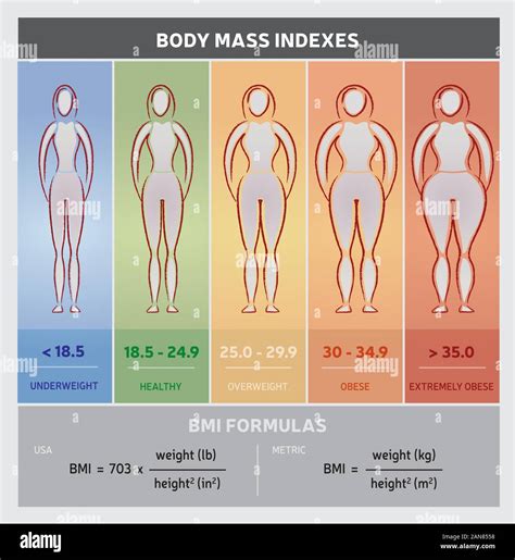 Body Mass Index BMI Female Body Thin Fat Normal Stock, 55% OFF