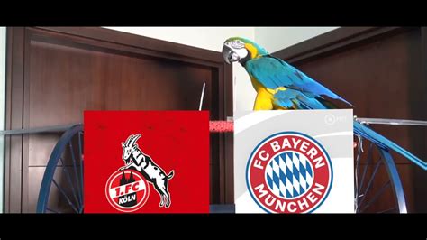 FC Köln vs Bayern Munich Prediction Bundesliga 2023 Parrot