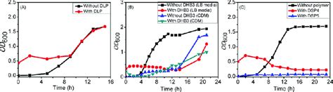 Growth Curve Of E Coli Cells In The Presence And Absence Of A DLP In