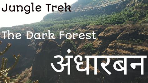 Andharban Jungle Trek To The Dark Forest Jungle Trek In Pimpri