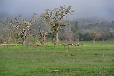 Valley Mist Kenwood John Cambre Flickr