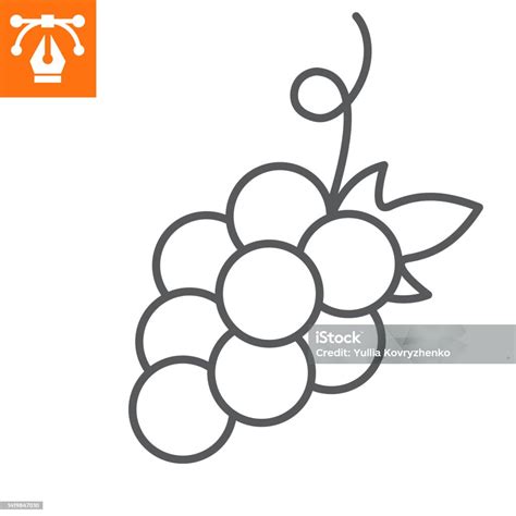 ikon garis anggur ilustrasi stok  gambar  anggur clip