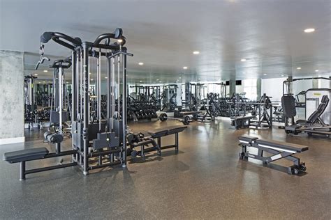 The Best Apartment Gyms In Los Angeles Rent Blog