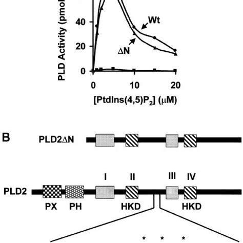 Activation And Labeling Of Pld By Photo Reactive Ptdins P