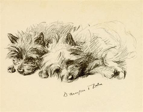 Art Prints of Zulu by Lucy Dawson