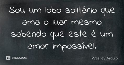 Sou Um Lobo Solitário Que Ama O Luar Weslley Araujo Pensador