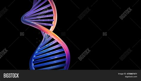 Dna Helix Model Image And Photo Free Trial Bigstock