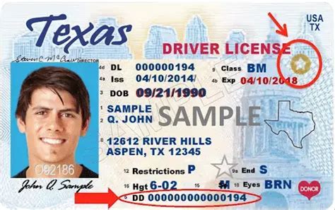 Licencias De Conducir En Texas 2024 Elyex