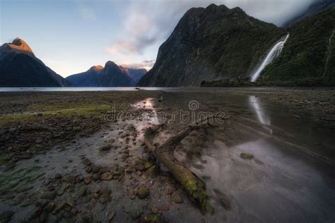 The Milford Sound Fiord Fiordland National Park Stock Photo Image Of