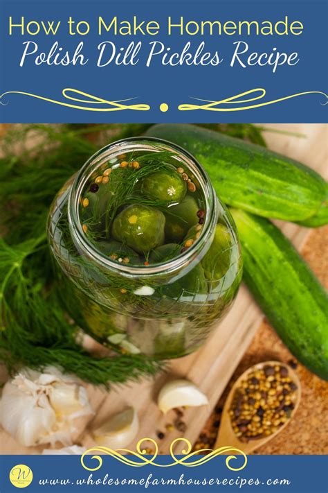 How To Make Homemade Polish Dill Pickles Recipe Wholesome Farmhouse