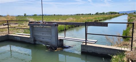 About Truckee Carson Irrigation District