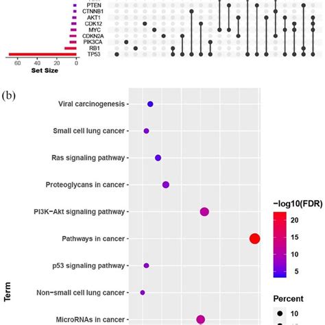 A Top 10 Concomitant Altered Genes Together In Nsclc Patients With