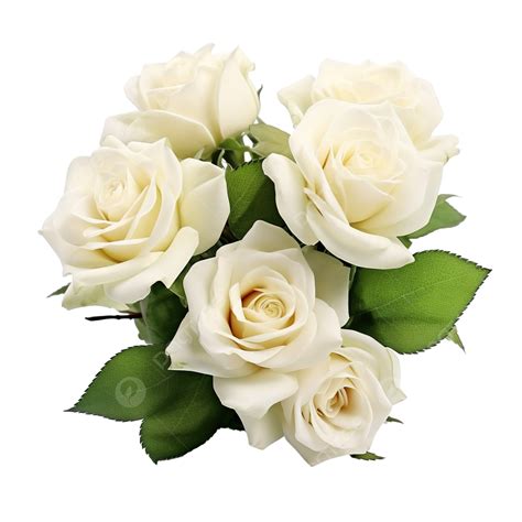 Beautiful Plant White Rose Bouquet Flower Rose Bouquet Beautiful Png