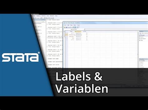 Stata Lernen Stata Label Und Variablen Tutorial Technikshavo