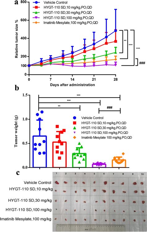 In Vivo Antitumor Efficacy Of Hygt Sd In Gist Xenograft Mouse