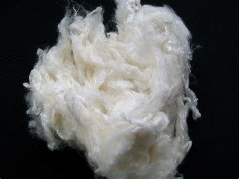 Cellulose Fibers Felting And Fiber Studio