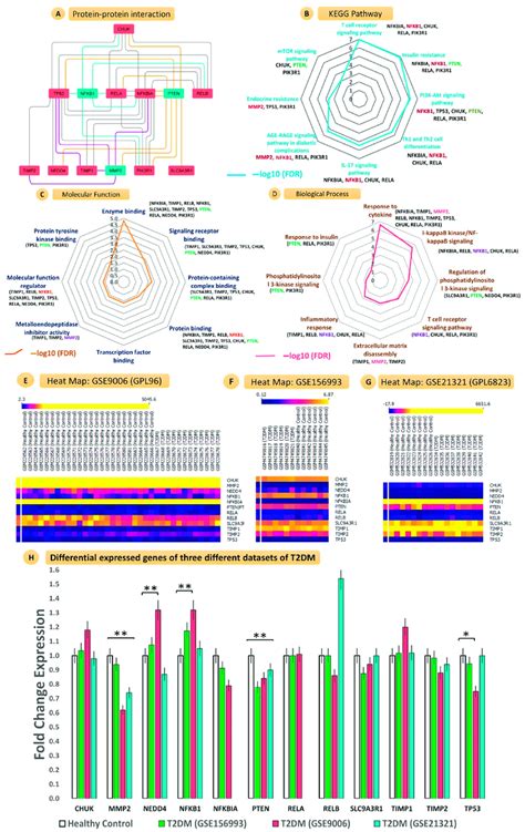 Interatomic Connections Gene Ontology Pathway Enrichment And